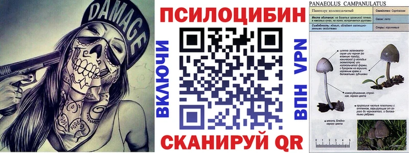 где найти наркотики  Красноуральск  Псилоцибиновые грибы ЛСД 